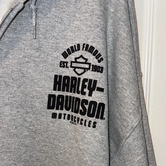 Harley-Davidson Gray Hoodie with Logo - Picture 2 of 6